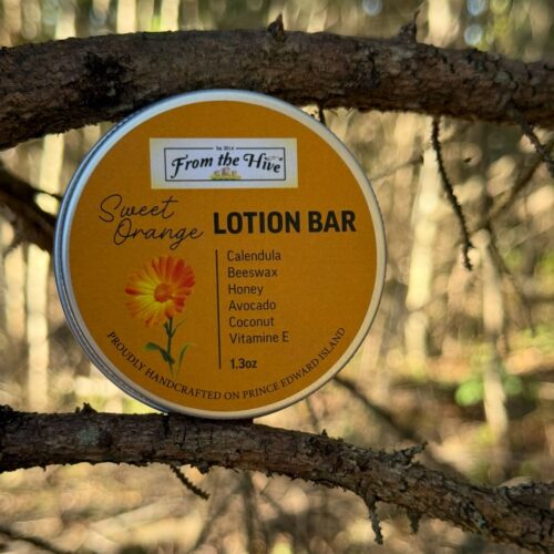 Sweet Orange Calendula Honey moisturizing lotion bar with a honey bee imprint. A 60ml (2oz.) silver aluminum tin with screw top holds a 1.3oz solid bar.