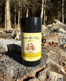 Calendula Nose & Paw Balm